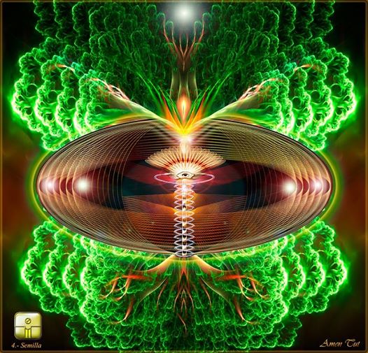 10007066_762440223780883_1363487862_n