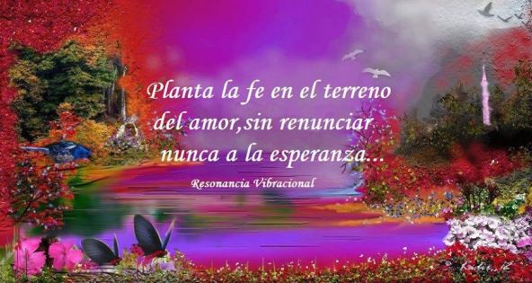 1004462_688265354523459_1813396555_n