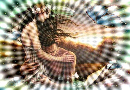 1006083_282052555304688_8687476550263186514_n