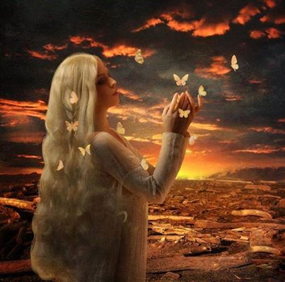 1009883_438640706281340_1374500866_n