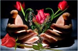 1011622_277392629104531_1769755487_n