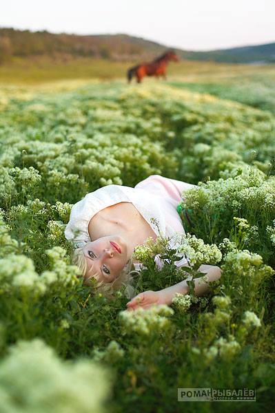 1013134_406027279506320_1965792867_n