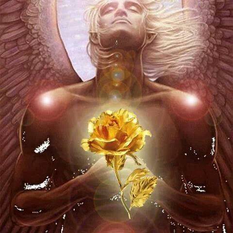 10149907_631572443558542_1654776976_n