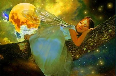 10151993_502594223178408_851211411_n