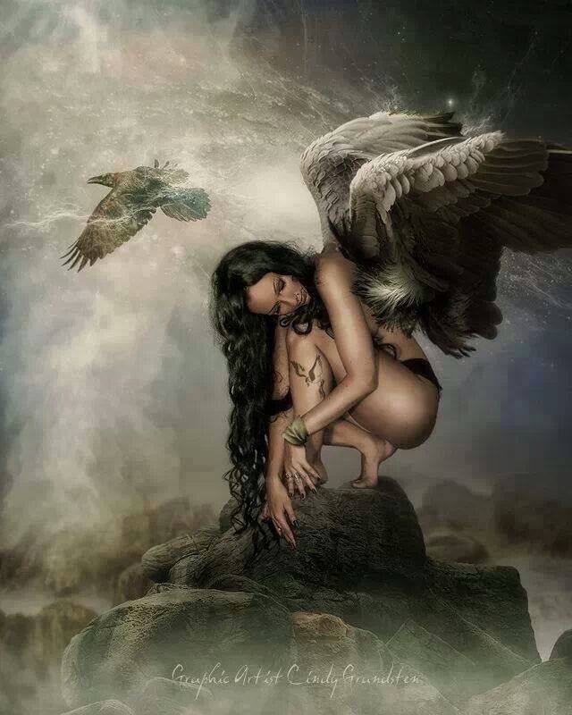 10152950_636781233037663_389067977_n