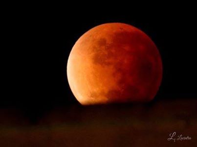 10153079_849082468452318_8646100024425158901_n