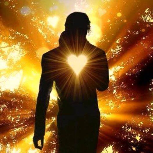 10154548_843906675625803_1292854233_n