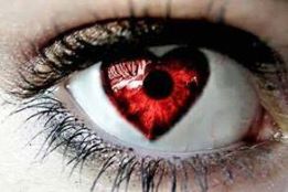 10157259_271011266401909_5520044745769150253_n