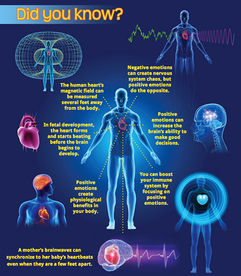 10259758_701392523258697_2869834269286700005_n