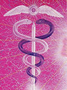 10264743_1412556672348894_1540121377224732359_n