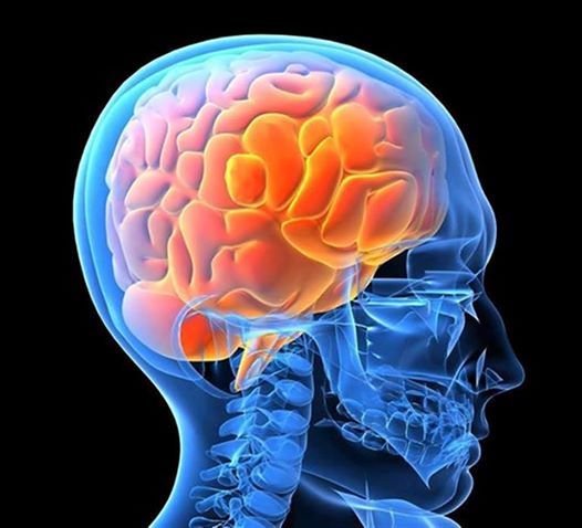 11478_529591443777197_228539228_n