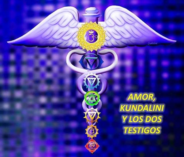 1174779_383354031792826_1209875725_n