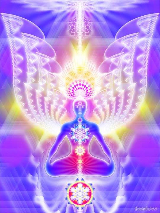 1240335_10201323539204126_1737592764_n