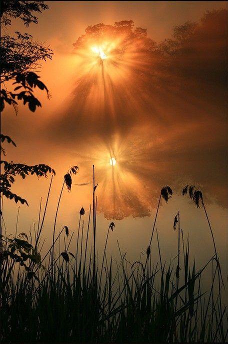 1240362_224661257726098_533123283_n