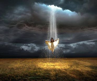 1374872_10151899043738058_112434276_n