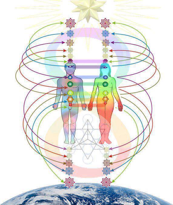 1457533_261478617339232_158697300_n