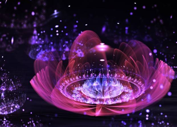 1458689_552329158182061_1182845920_n