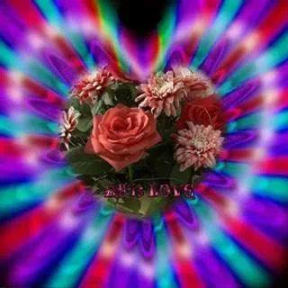 1484734_1394923737450803_640471566_n