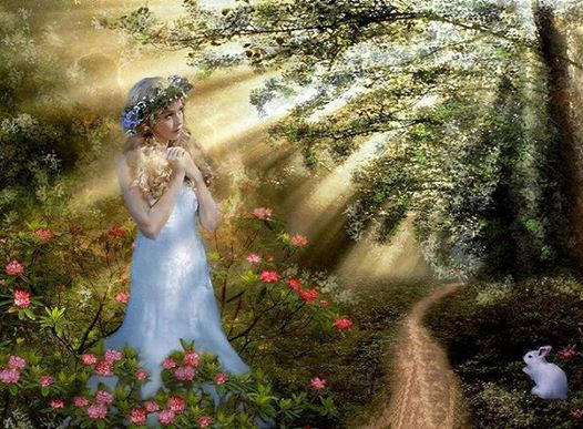 1531635_422396474558620_1628022166_n