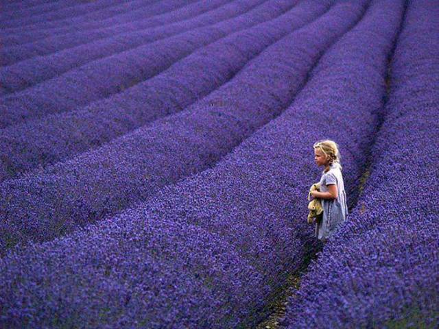 1609822_633703106709922_3833761501827111284_n