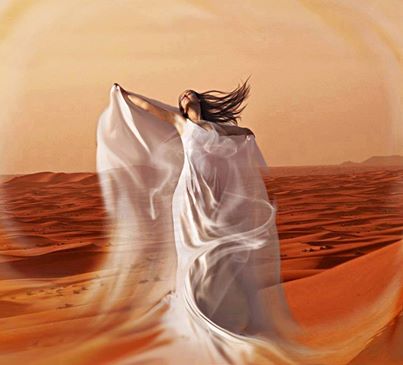 1654052_636504333088676_1284861603_n