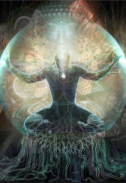 1688243_1466971570192483_1105308521_n