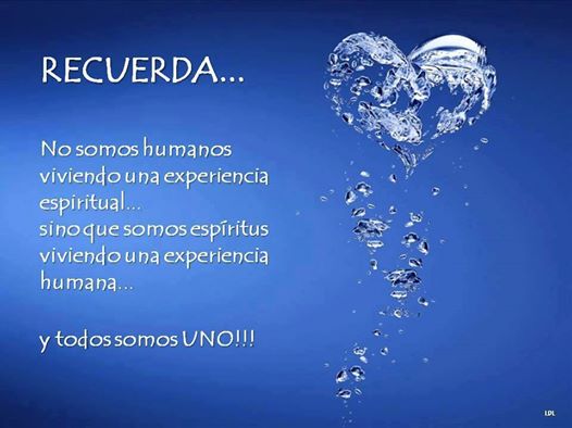 1798148_10152251752566838_817870917_n