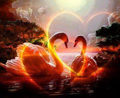 1901211_260158727495551_2137529094_n