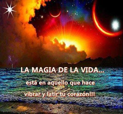 1908286_694209130622051_146752332_n