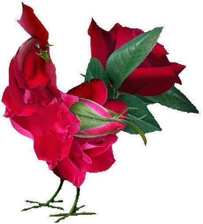 1926678_593502337407712_1008239075_n