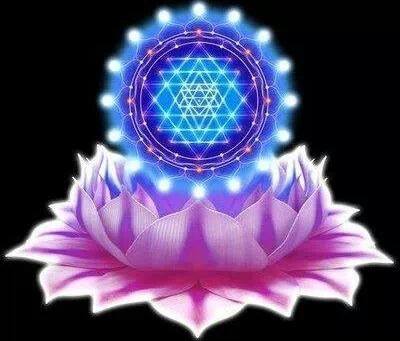 1927057_624565260925927_439766059_n