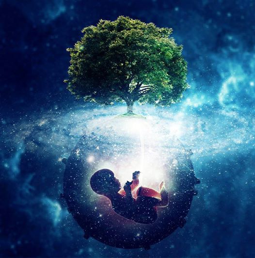 1947577_10201765769648176_517386721_n