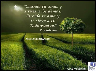 1972421_219174391610430_483090195_n