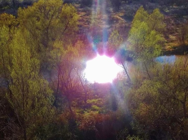 1974370_10154041780995397_7253571446374410536_o