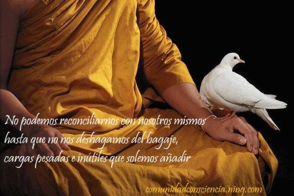 1977361_294288544069270_288017837_n