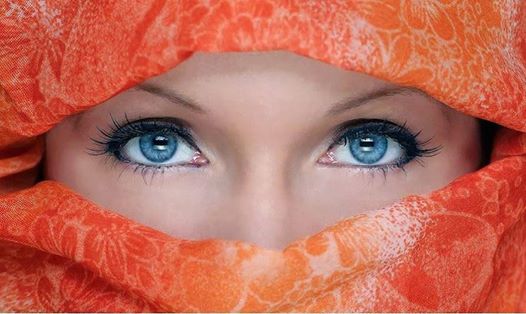 1978861_499844416794269_593874998_n