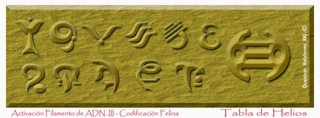 3-Filamento-ADN-Felino-Talampaya