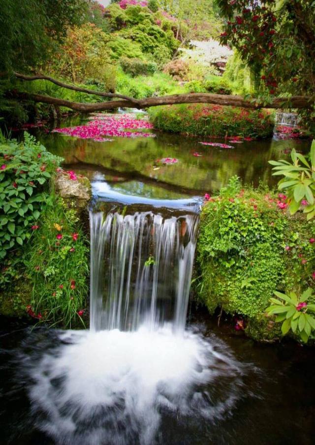 3541_654087581303485_21816947_n