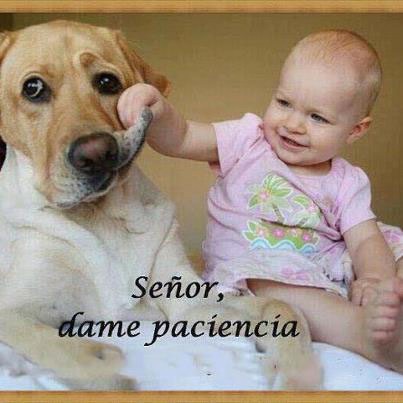 3cf4838d432d10df80ece0ad64391e4d