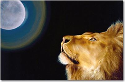 484481_511536075530166_1463646582_n