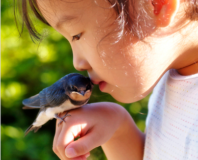 485478_571101152923131_1025889478_n