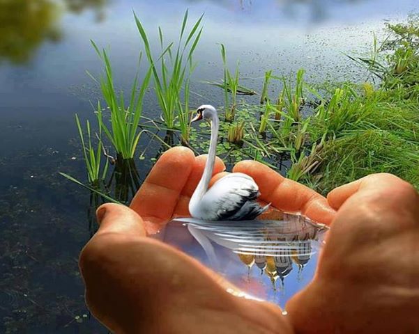 545701_535950066420560_1752433451_n