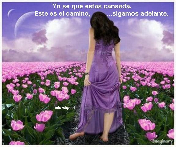 581254_431330913618181_1400450933_n