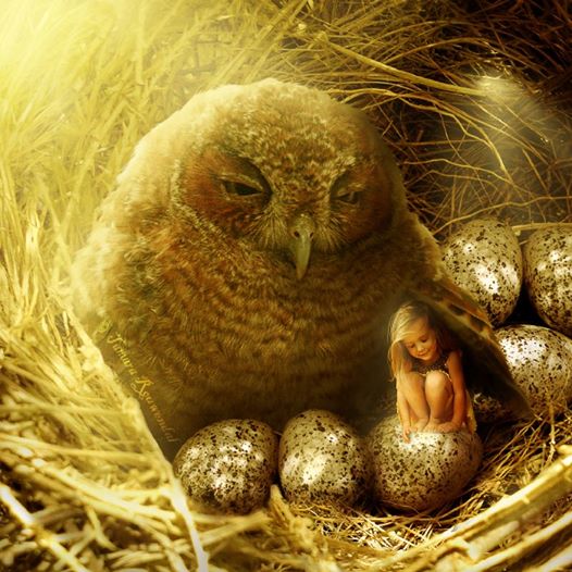 61454_10151126912772477_1518342222_n