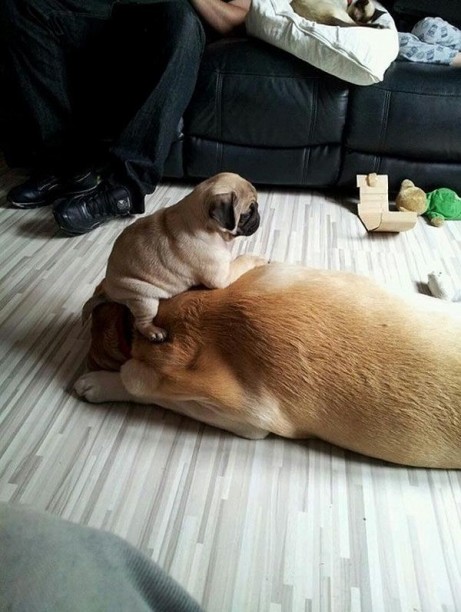 6e95963c8b96a5ba05ded12dede8894d_460