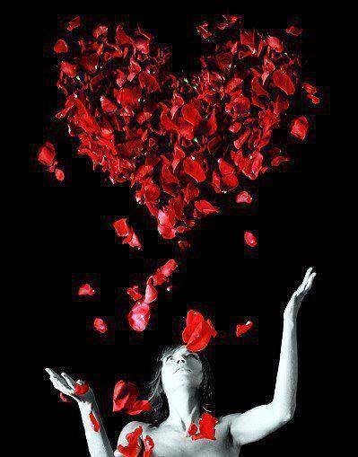 969207_835801683102198_1978993818_n