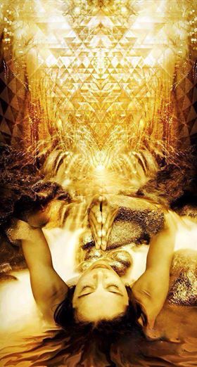 988849_10152376447425229_1941636255_n