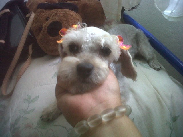 IMG00841-20130516-1259