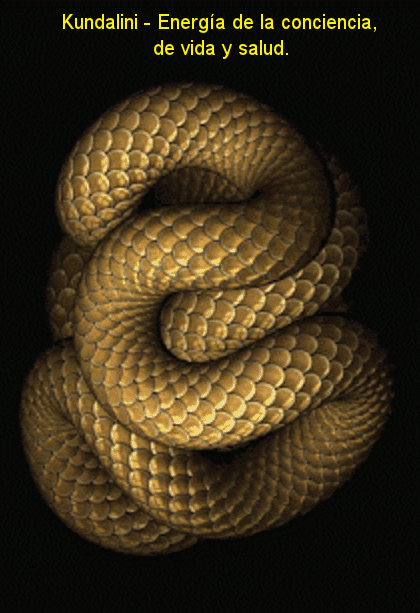 serpiente_thumb[5] (3)