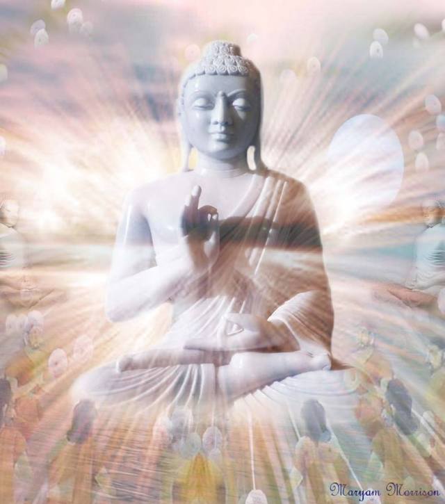 10155135_824984514182248_48347743_n